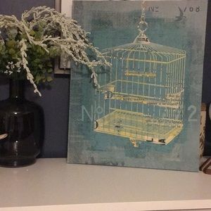 Birdcage picture
